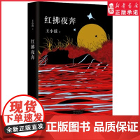 红拂夜奔王小波著黄金时代一只特立独行的猪李银河现当代文学散文小说随笔追忆思念之情逝世二十周年纪念版正版书籍