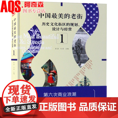 中国最美的老街1 中国老街街区保护与建筑修复 历史遗产 名胜古迹 旧城改造文化遗迹翻新 古建改造 建筑室内景观设计书籍