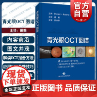 青光眼OCT图谱 相干光层析成像术OCT发展青光眼中应用基础视乳头视网膜参数戴毅主译上海科学技术出版社眼科学