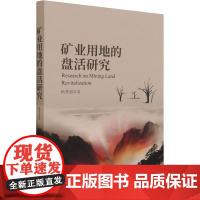 矿业用地的盘活研究 杨慧丽 著 法律汇编/法律法规经管、励志 正版图书籍 知识产权出版社