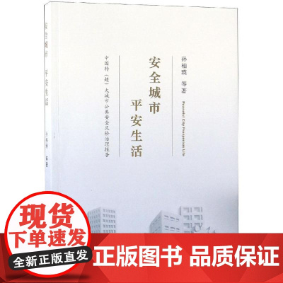 安全城市 平安生活:中国特(超)大城市公共安全风险治理报告 孙柏瑛著 著 社会科学总论经管、励志 正版图书籍