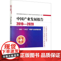 中国产业发展报告——推动"十四五"时期产业高质量发展 2019-2020 国家发展和改革委员会产业经济与技术经济研究所