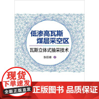 低渗高瓦斯煤层采空区瓦斯立体式抽采技术 张巨峰 著 石油 天然气工业专业科技 正版图书籍 冶金工业出版社