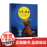 月亮晚安精装绘本魔法象图画书2岁3岁4岁5岁6岁亲子共读小班中班大班幼儿园阅读甜美的晚安书与众不同的睡前故事正版童书