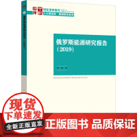 俄罗斯能源研究报告(2019) 刘旭 著 交通/运输经管、励志 正版图书籍 中国社会科学出版社