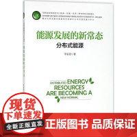 能源发展的新常态 李金铠 著 著 中国经济/中国经济史经管、励志 正版图书籍 中国经济出版社