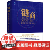 链商 重塑数字经济新生态 王大山,王淳枫 著 经济理论经管、励志 正版图书籍 机械工业出版社