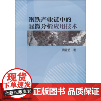 钢铁产业链中的显微分析应用技术 田青超 著 冶金工业专业科技 正版图书籍 冶金工业出版社