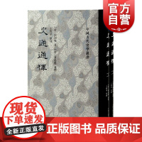 史通通释全二册 中国古代史学丛书繁体竖排上海古籍出版社中国史史学理论著作