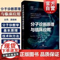 分子诊断原理与临床应用 分子诊断技术在感染性疾病遗传性疾病肿瘤的临床应用吴柏林主译上海科学技术出版社分子生物学实验室诊断