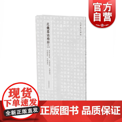 北朝墓志精粹二 高照容墓誌元賄墓誌元懌墓誌元瑛墓誌元巶墓誌上海书画出版社 书法篆刻毛笔字临摹名家字帖