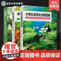 水草缸造景全流程图解 水草缸造景设计从零开始打造唯美水世界 500种造景水草图鉴3册 水草缸造景工具书 零基础学水草养殖