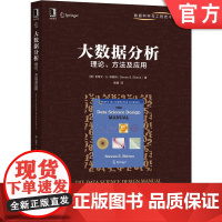 正版 大数据分析 理论 方法及应用 史蒂文 斯基纳 概率 统计 复合事件 数据整理 爬取 数据清洗 离群值检测 排名