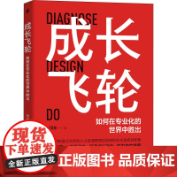 成长飞轮 如何在专业化的世界中胜出 钱国新 著 广告营销经管、励志 正版图书籍 机械工业出版社