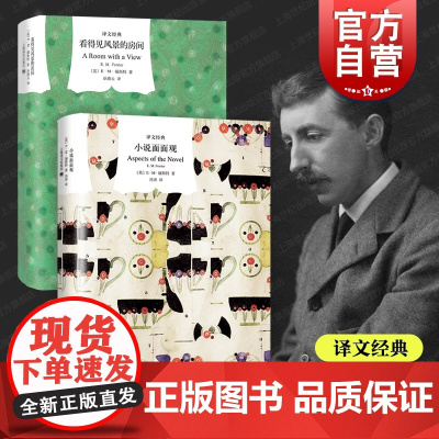 小说面面观/看得见风景的房间 译文经典E.M.福斯特作品陆地版泰坦尼克号上海译文出版社欧美英国文学外国小说