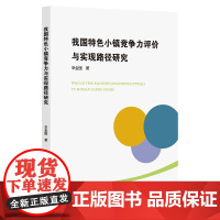 我国特色小镇竞争力评价与实现路径研究/辛金国/浙江大学出版社