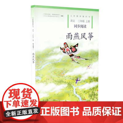 雨燕风筝语文三年级上册同步阅读 人教版小学语文 三3年级上册同步阅读 雨燕风筝 人民教育出版社