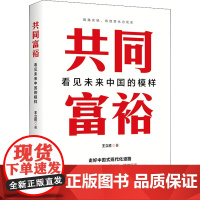 共同富裕 看见未来中国的模样 王立胜 著 党政读物经管、励志 正版图书籍 中国财政经济出版社