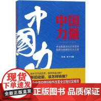 中国力量 李锦,李宁 著 著 社会学经管、励志 正版图书籍 中国经济出版社