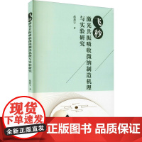 飞秒激光共振吸收微纳制造机理与实验研究 赵新宇 著 矿业技术生活 正版图书籍 湖南科学技术出版社