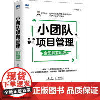 小团队项目管理 全图解落地版 任康磊 著 人力资源经管、励志 正版图书籍 人民邮电出版社