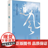 追风 洪放 著 现代/当代文学文学 正版图书籍 安徽文艺出版社