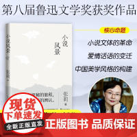 小说风景 张莉 著 文学理论/文学评论与研究文学 正版图书籍 人民文学出版社