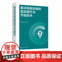 重点耗能设备的能效提升与节能技术 何燕 耗能设备节能技术能效 高校过程装备与控制工程专业学生教材 节能服务体系工作人员阅