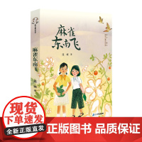 麻雀东南飞 寒暑假期读一本好书 故乡童年原创儿童文学书系6-12岁课外阅读书籍陈君玲连城著 正版