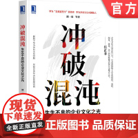 正版 冲破混沌 生生不息的企业文化之光 潘一宽 潘氏模型 企业精神 核心价值观 使命愿景 战略标准 企业管理