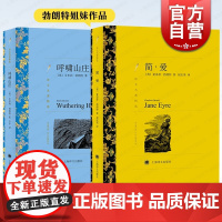 简爱/呼啸山庄 夏洛特勃朗特艾米丽姐妹作品译文名著精选上海译文出版社外国小说