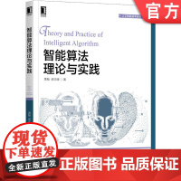 正版 智能算法理论与实践 黄翰 郝志峰 时间分析 计算机视觉 物流规划 软件测试 多目标优化 随机启发式算法 实际应