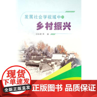 发展社会学视域中的乡村振兴 闫纪建 著 各部门经济经管、励志 正版图书籍 郑州大学出版社