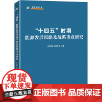 "十四五"时期能源发展思路及战略重点研究 王仲颖 等 著 各部门经济经管、励志 正版图书籍 中国经济出版社