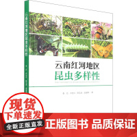 云南红河地区昆虫多样性 李巧 等 著 统计 审计专业科技 正版图书籍 中国林业出版社