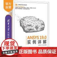 [正版]ANSYS 19.0实例详解 李大勇 清华大学出版社 计算机技术开发与应用丛书有限元分析