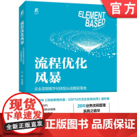 正版 流程优化风暴 企业流程数字化转型从战略到落地 王磊 9787111710998