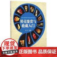 贝壳鉴赏与收藏入门 赵一凡贝壳收藏源起发展及特点意义 正版书籍