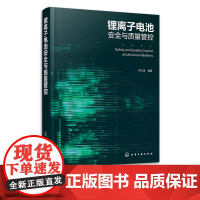 正版 锂离子电池安全与质量管控 李文涛 锂电池安全 锂电池标准 锂电池规划 锂离子电池相关企业高校科研院所及检测机构人员