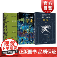 沼泽/深水/姐妹 知山短篇小说奖得主黛西约翰逊作品集英国现当代文学上海文艺出版社外国小说入围德斯蒙德艾略特奖决选布克奖