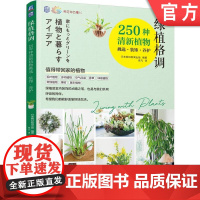 正版 绿植格调 250种清新植物挑选 装饰 养护 日本朝日新闻出版 观叶 多肉 香草 球根 软装 家装 花艺 插花