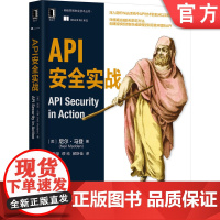 正版 API安全实战 尼尔 马登 环境 威胁模型 加密 身份识别 访问控制 授权 防御注入攻击 速率限制 密码数据