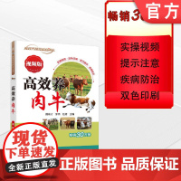 正版 高效养肉牛 视频版 魏刚才 李伟 赵倩 品种 杂交利用 牛场建设 饲料营养 日粮配制 饲养管理 育肥 经营