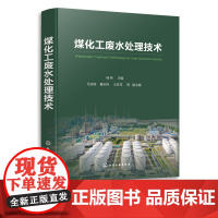 煤化工废水处理技术 煤化工废水处理工程案例讲解 煤化工废水来源水质特征 煤化工行业工程人员参考 高校环境工程专业师生参阅