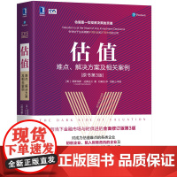 估值:难点、解决方案及相关案例(原书第3版)