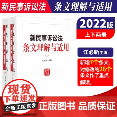 2022新修订版 新民事诉讼法条文理解与适用 江必新 新民事诉讼法理解与适用 新民诉法条文解读 条文理解 条文适用 出