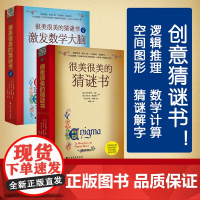 很美很美的猜谜书 全2册10-12-15岁初中小学生益智打谜语课外读物书籍提高孩子数学空间逻辑思维能力解字开发脑力创造力