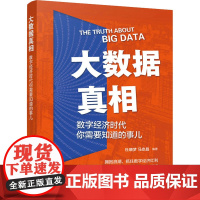 大数据真相 数字经济时代你需要知道的事儿 杜晓梦,马京晶 编 计算机控制仿真与人工智能专业科技 正版图书籍