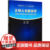 正常人体解剖学 江爱娟 编 医学其它生活 正版图书籍 中国科学技术大学出版社