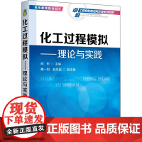 化工过程模拟——理论与实践 邱彤 编 大学教材大中专 正版图书籍 化学工业出版社